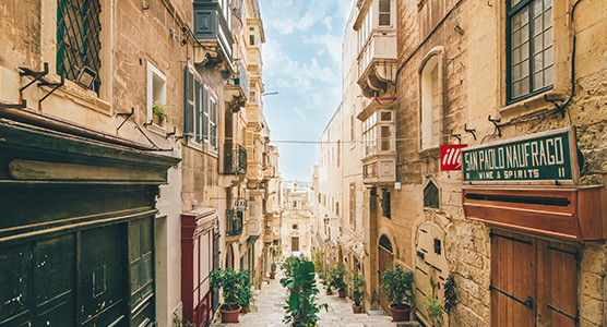 Holiday Planning Ideas