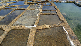 Antique Heritage - Sea Salt Harvesting